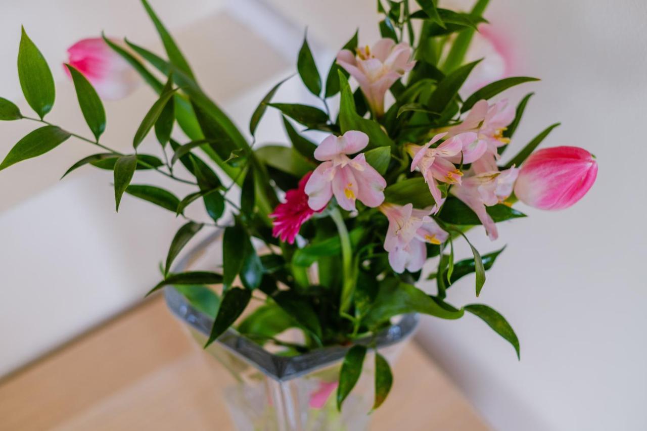 Willa Knieja 穆扎希赫尔 外观 照片